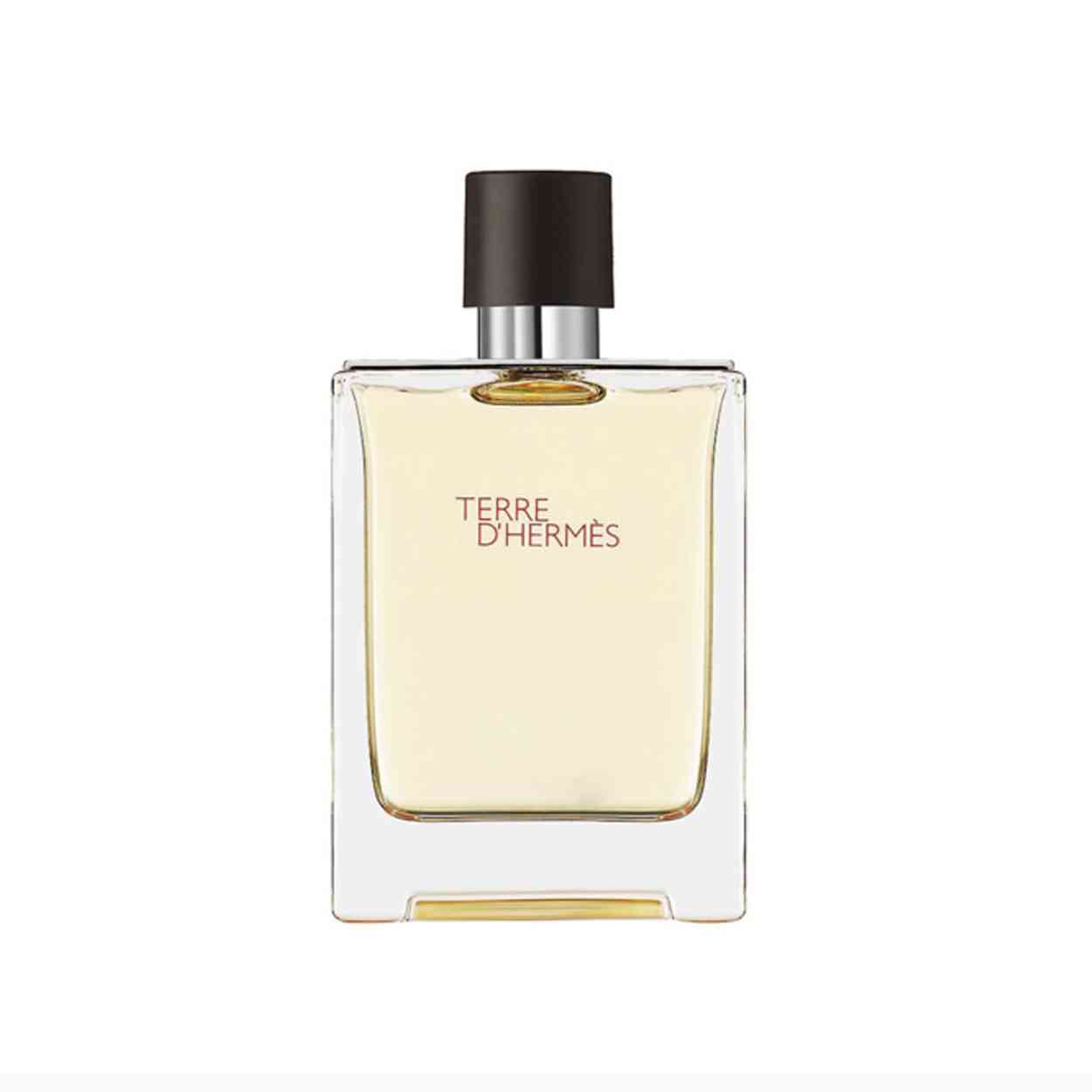 Hermes Terre D'Hermes Eau de Toilette 100ml