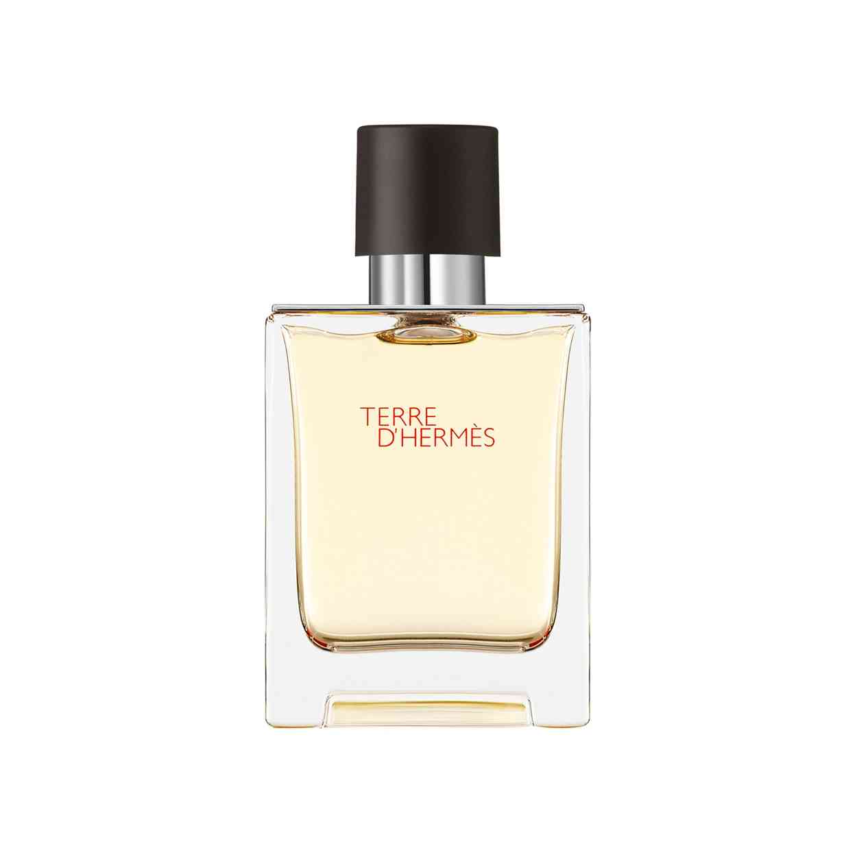 Hermes Terre D'Hermes Eau de Toilette 50ml