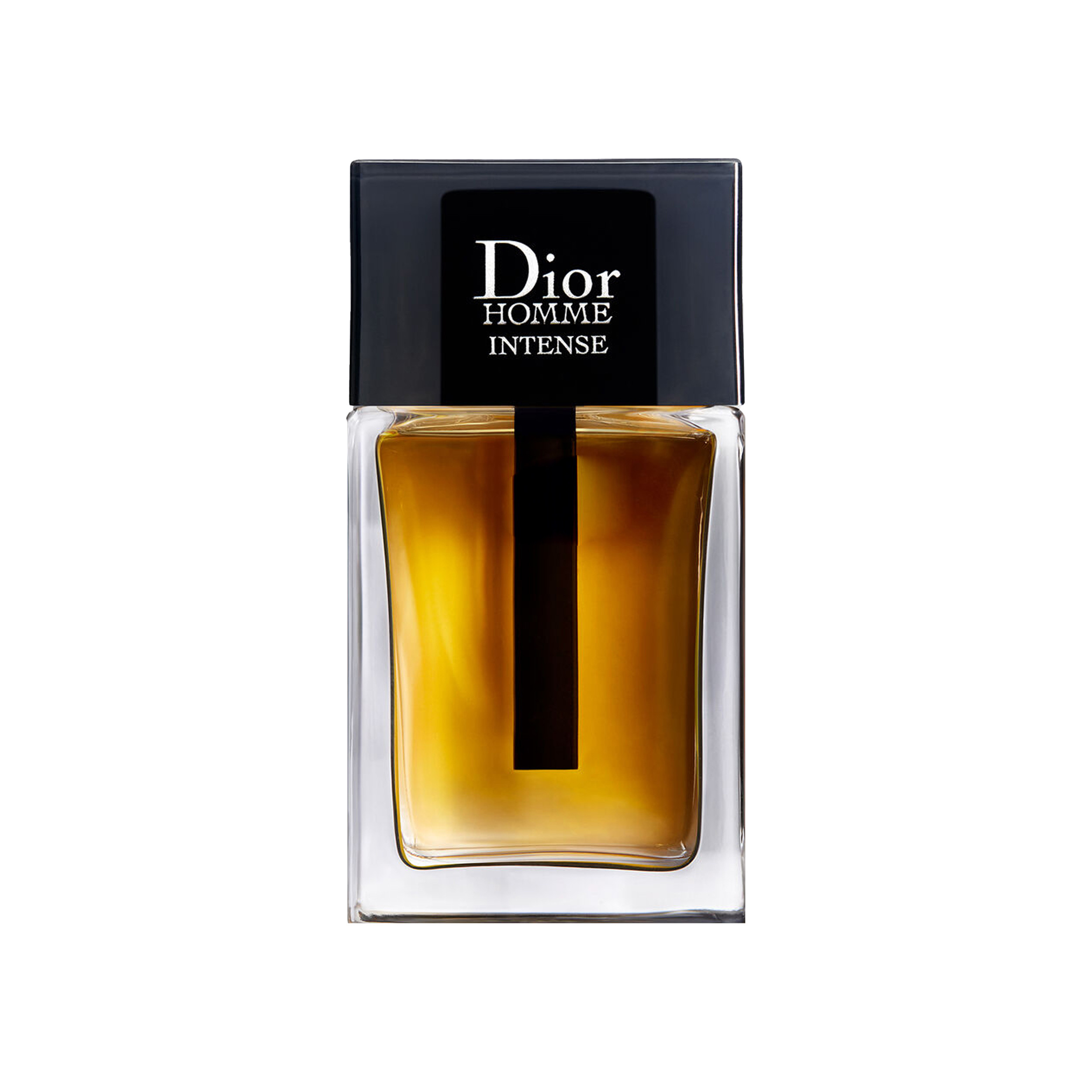 CD DIOR HOMME