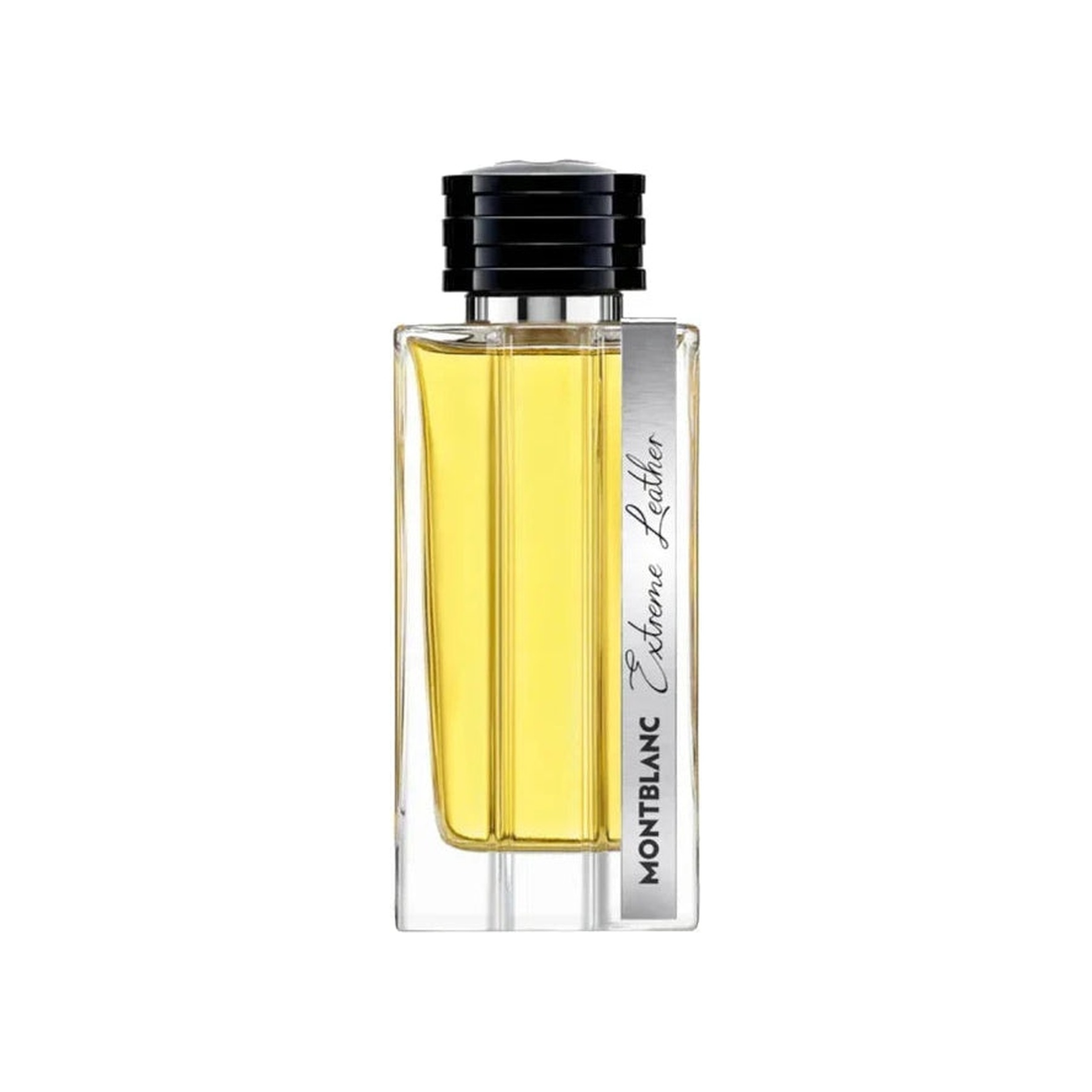 Mont Blanc Extreme Leather